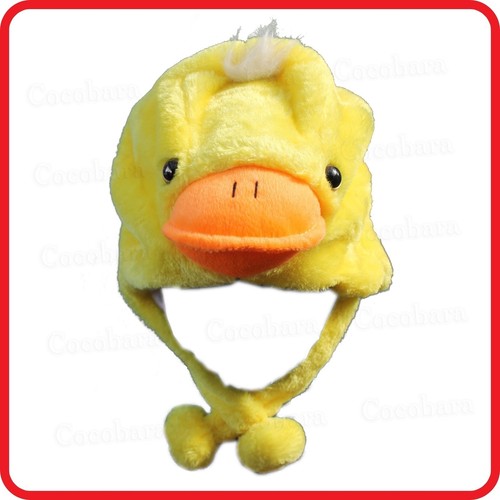 fluffy duck animal