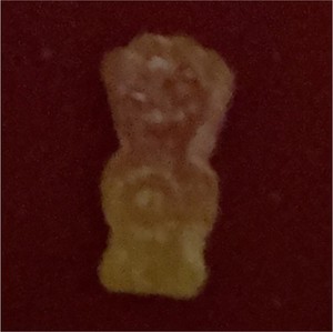 Rare multi colored sour patch kids 