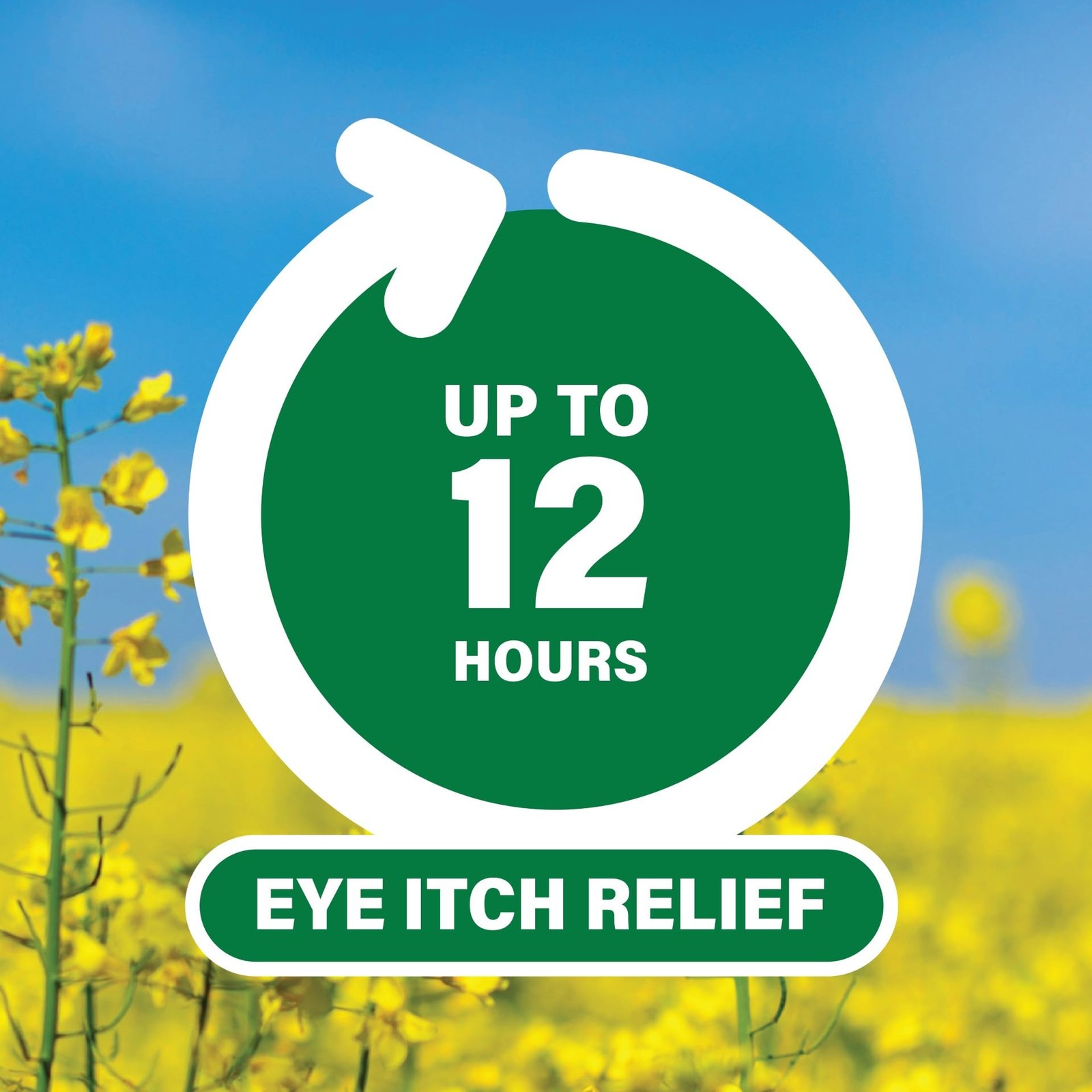 Ketotifen Eye Drops, Allergy Itch Relief, Works Fast, 30 Day Supply, 0.17 Fl Oz