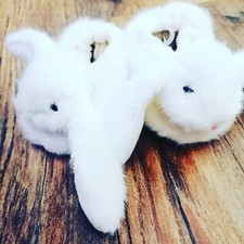 Baby Slippers
