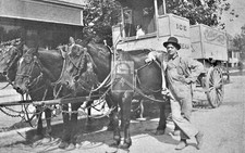 Collins Bros Ice Cream Wagon Man Dog Chicago Illinois IL - Reprint