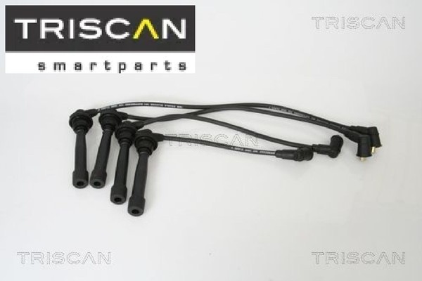 Triscan 886043005 ZüNdleitungssatz ZüNdkabelsatz ZüNdkabel-image