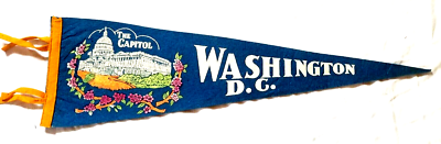 Vintage Souvenir Washington DC Felt Pennant Flag Monument
