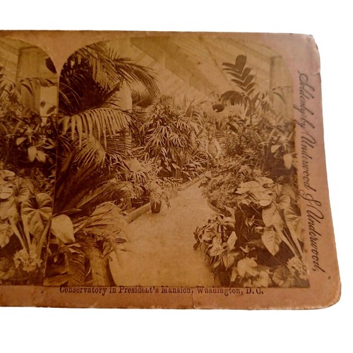 Antique Stereoview J. F. Jarvis Conservatory President's Mansion Washington DC