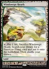 Magic / MTG windspeth heath Zendikar Expeditions Masterpiece Foil!!!