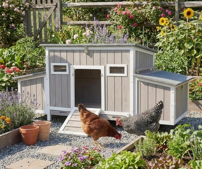 PETSCOSSET 62''Chicken Coop for 2-4 Chickens,Large Hen House with 4 Nesting Boxes