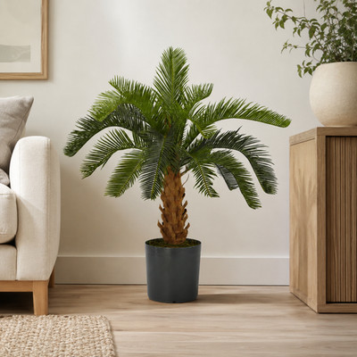 28'' Plastic Cycas (Foam Trunk) Tree w/16 Lvs