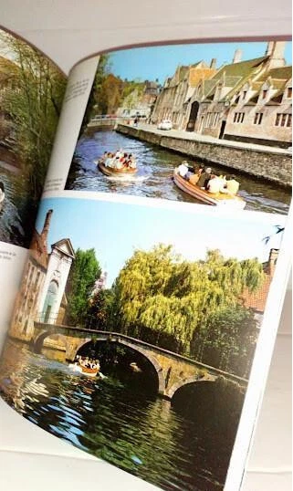 Todo Brujas - Editorial Escudo de Oro. En Español - Imagen 3 de 4