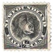 NEWFOUNDLAND (1894) 1/2c Dog Stamp (#58) - Uncancelled/Previously Hinged