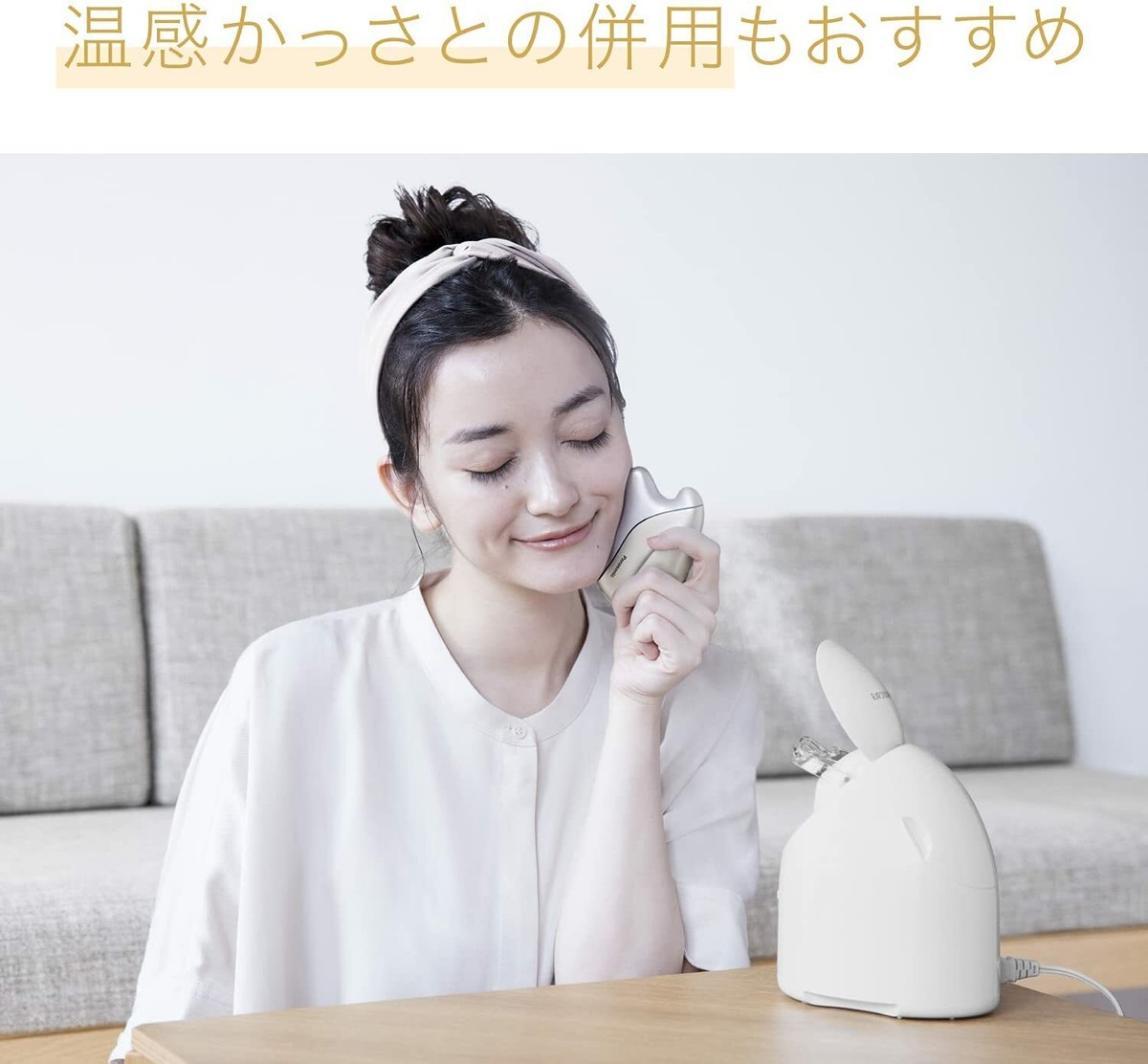 Panasonic EH-SA3C-N Steamer Nano Care Moisture Facial Skin Compact