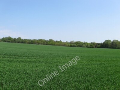 Photo 6x4 Two Acres/Site of Large Wood Haywards Heath Another view of [[ c2011