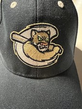 Kane County Cougars Minor League Baseball Men s Strapback Hat Cap Good Condition