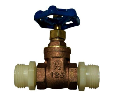Watts WGV 1/2 Inch Brass Foreign Gate Valve w Added Threaded 1/2 Inch Couplings