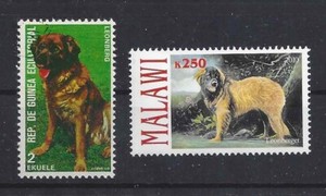 Dog Art Study Portrait Postage Stamp Collection LEONBERGER 2 x MNH CTO
