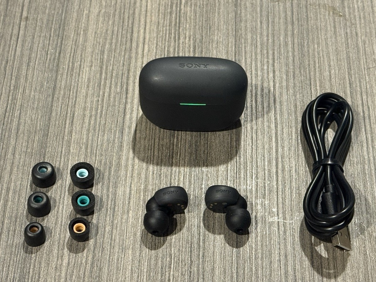 Sony WF-LS900N LinkBuds + Charging Cable - Black | eBay