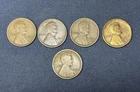 1910 S 1913 S 1914 S 1915 S 1916 S Lincoln Wheat Cent Lot VF Semi-Key Dates