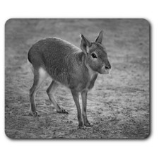 Alfombrilla de ratón rectangular BW - animal conejo mara patagónico #39354