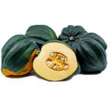 ACORN TABLE QUEEN WINTER SQUASH - ORGANIC - 15 SEEDS