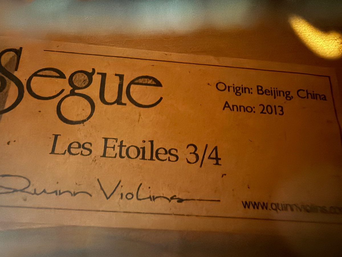Viola Eastman Modello 80 (16.5") Del 2013 – Artigianale Per Musicisti Esperti