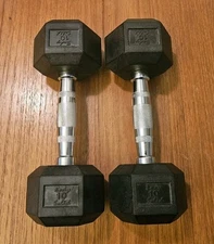 Pair of Body Solid 10lb Rubber Hex Dumbbells dumbbell hand weights 20lbs total