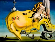 SALVADOR DALI Surrealism Art Poster or Canvas Print "The Great Masturbator"