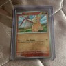Pokémon Numel SV03: Obsidian Flames 031/197 Common 90 HP Card English 2023