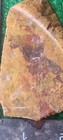Rough Slab Red N Yellow Jasper 96g. 5/16" Thick Lapidary Cabbing #c-2 — photo 4