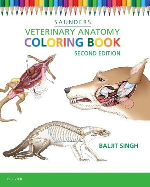 Thumbnail - Veterinary Anatomy Coloring Book | Saunders Saunders | Englisch |
