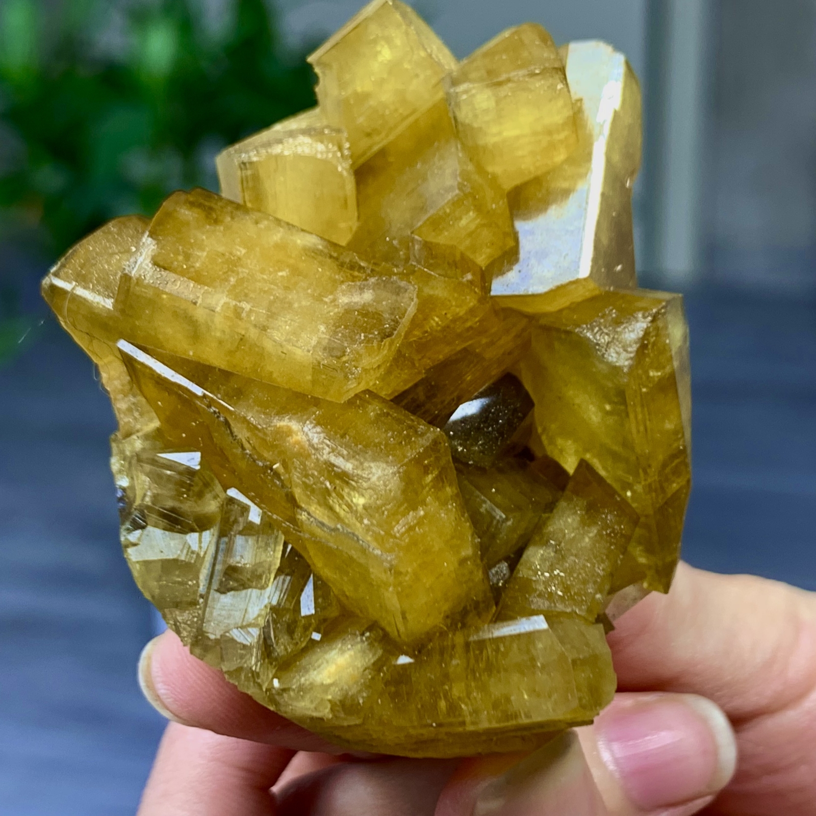 188G Shiny Golden Cuboid Barite Crystal Based on the Purple Spherical Fluorite