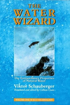 The Water Wizard: The Extraordinary Properties of Natural Water - GOOD