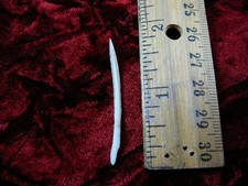 (f352-51) small 1-1/2" Stingray Ray barb modern Himantura chaophraya barbs rays