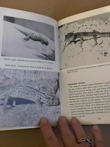 Encyclopedia of Reptiles and Amphibians by John F. Breen (1974, Hardcover) - Picture 6 of 6