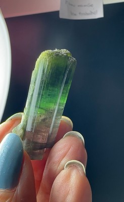Bicolor tourmaline , all terminated crystal ,from  Cruzeiro  mine