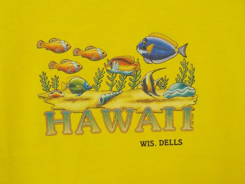 WISCONSIN DELLS T-SHIRT YOUTH SZ L (14/16) YELLOW HAWAII BRIGHT CARTOON FISH - Picture 2 of 14