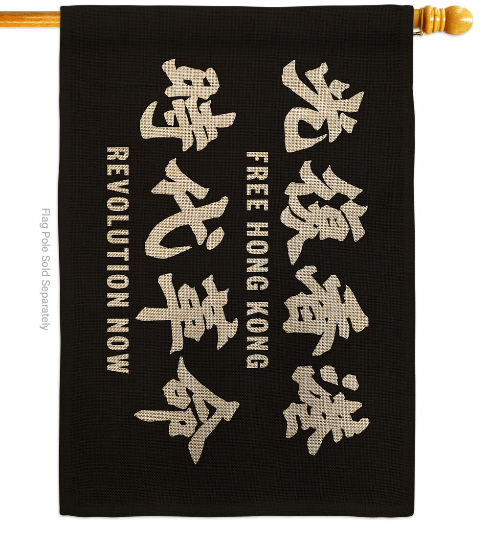 Grab the flag2 ライオン　キャンバスF6号　BAEZ3 Grab the flag2 ライオン キャンバスF6号 BAEZ3 絵画