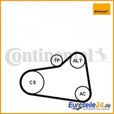 V-ribbed belt kit Continental CTAM 6PK905EXTRAK1 for Mini