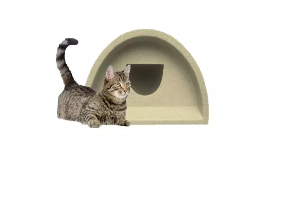 Plastic top cat pod