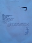Foto 6 di 6