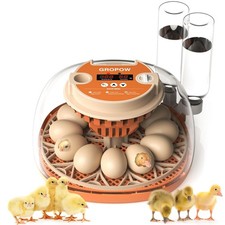 12 Egg Incubator, Automatic Turning with Temperature & Humidity Control, Egg Can