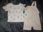 Picture 6 of 13