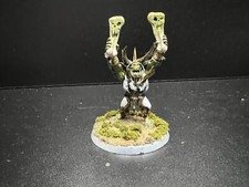 Warhammer AOS Destructions Orruks Warchanters well painted