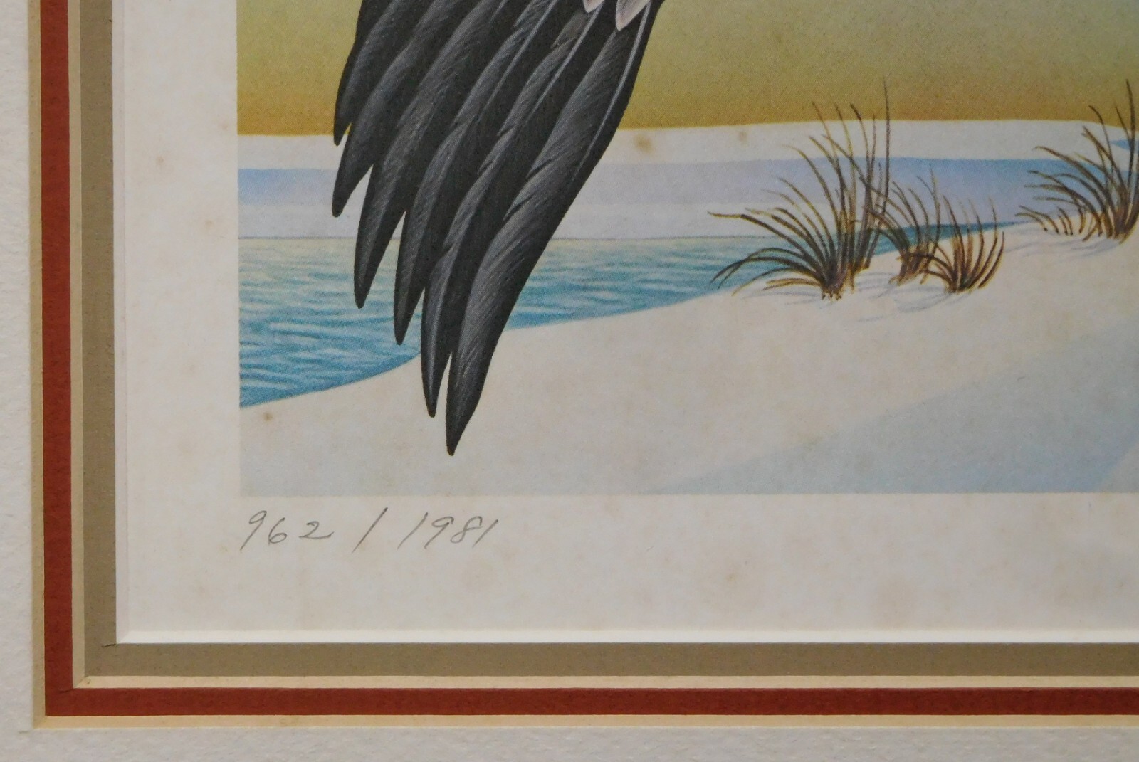 1981 Delaware Hunting Permit 5 Stamps & Print Snow Geese Signed Ltd