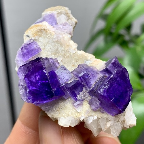 36G Natürliche Transparente Lila Kubische Fluorit Mineral Probe Innere Mongolei - Bild 5 von 21