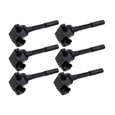 For Acura SLX 1998-1999 Ignition Coils | Set of 6 | Blade Terminal | 12 Voltage