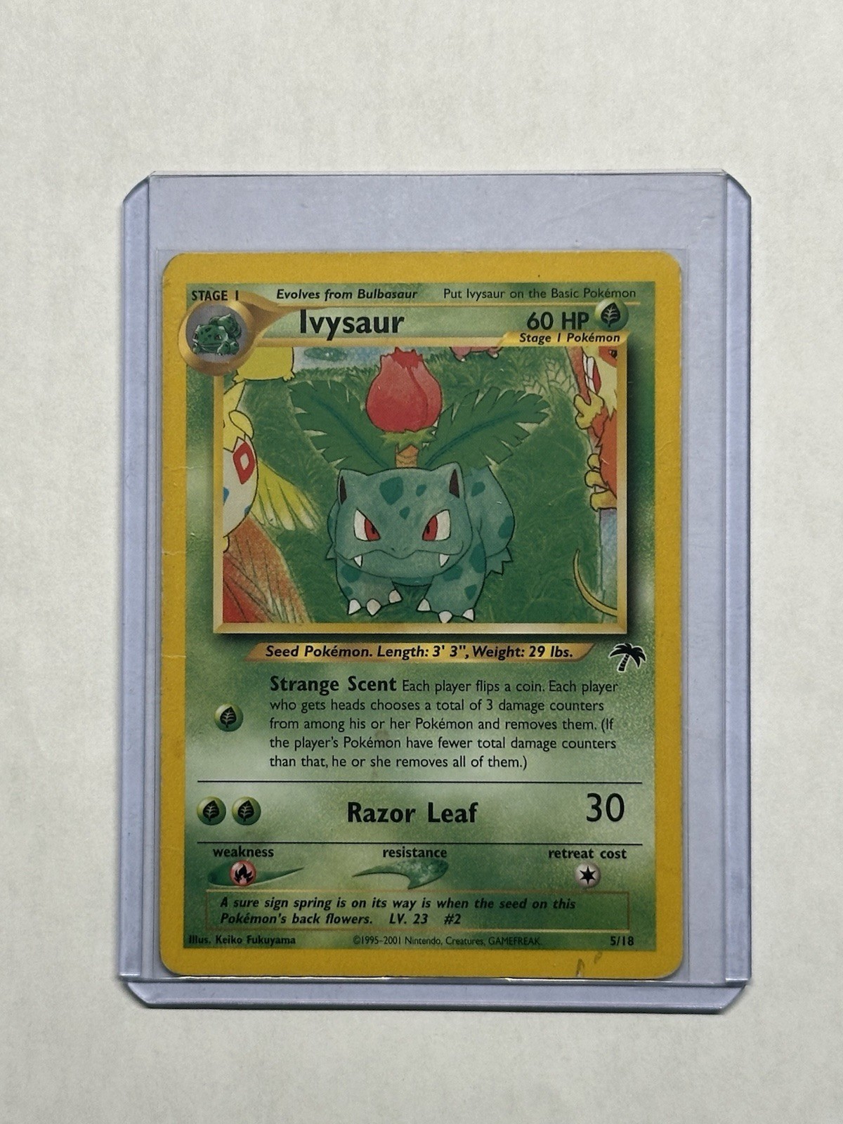 Pokémon TCG Ivysaur Southern Islands 05/18 Regular Promo EN 60 HP 2001