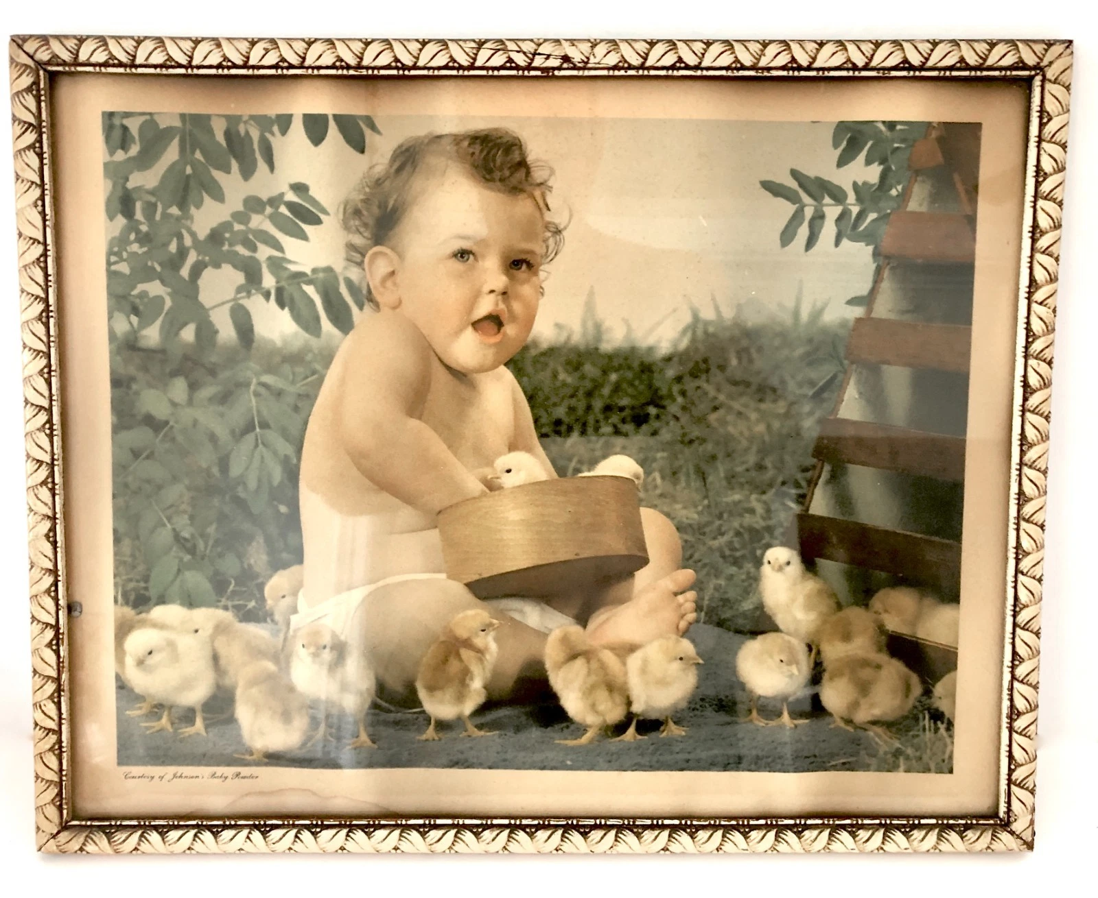 Vintage 1939 To 1963 Courtesy Johnson's Baby Powder Picture Baby W/ Baby Chicks