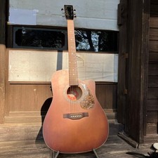 [Rara/Hecha en Canadá] Guitarra eléctrica acústica Norman B18 CW serie Godin