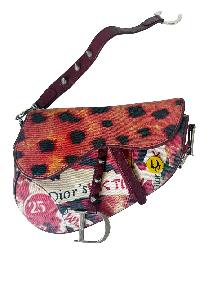 25+ Dior Saddle Canvas Exterior Small Bags & Handbags for Women