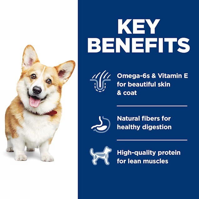 Hill's Science Diet Adult Small Bites Chicken & Barley Recipe Dry Dog