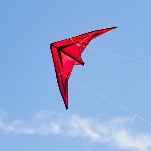 Lenk Drachen Quick Sport Fliegen Zweileiner Trick Einsteiger Anfänger Beginner - Picture 11 of 12